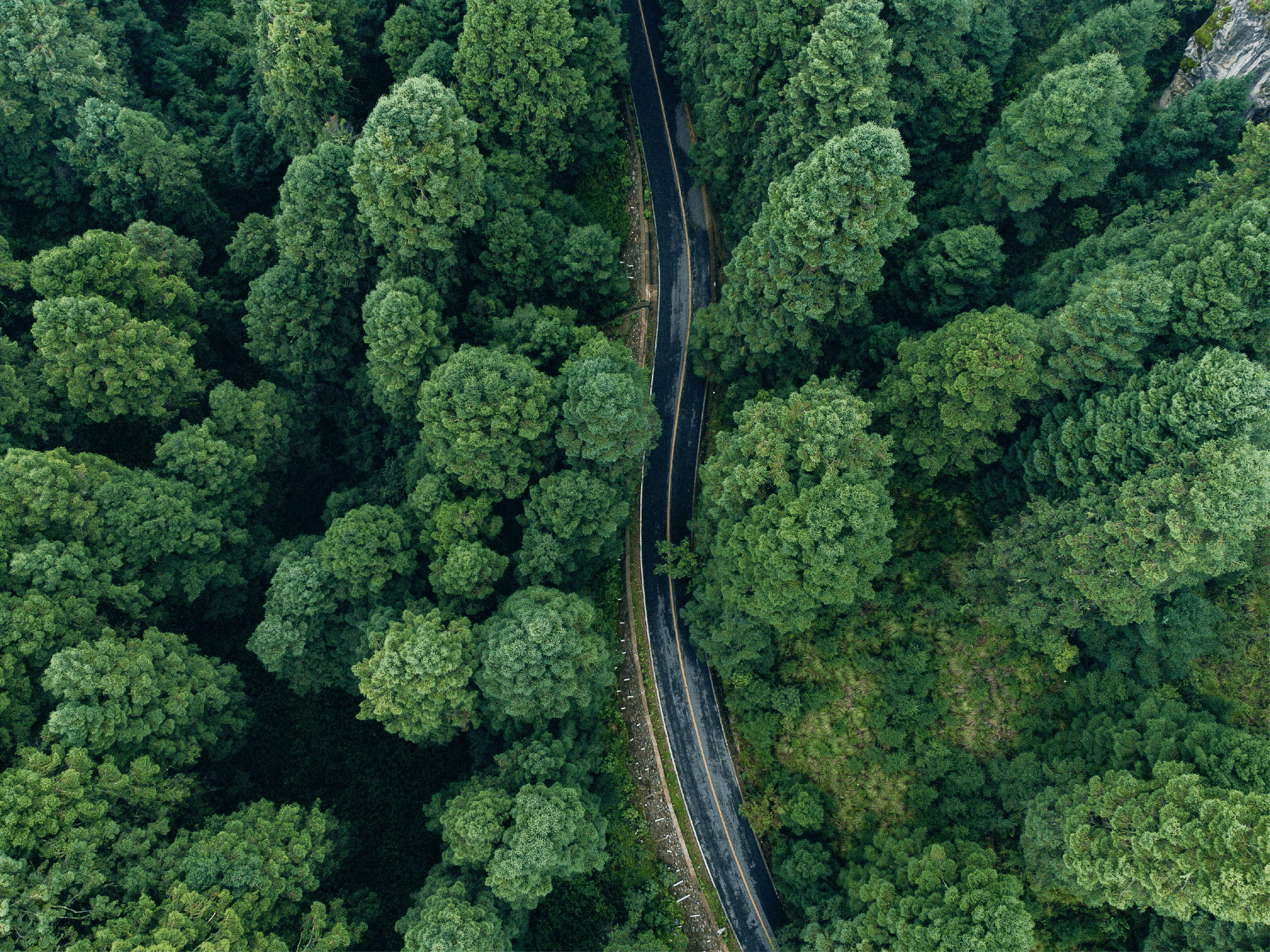 ACT Global promotes energy-efficient public procurement in Georgia by providing evidence-based insights