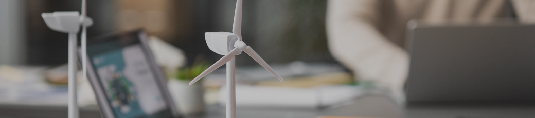 „ეკონომიკის სამინისტროს შესაძლებლობების გაძლიერება მწვანე და მდგრად საჯარო შესყიდვებში“