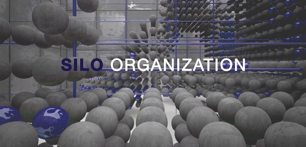 ბუნკერული ორგანიზაცია (Silo Organization)