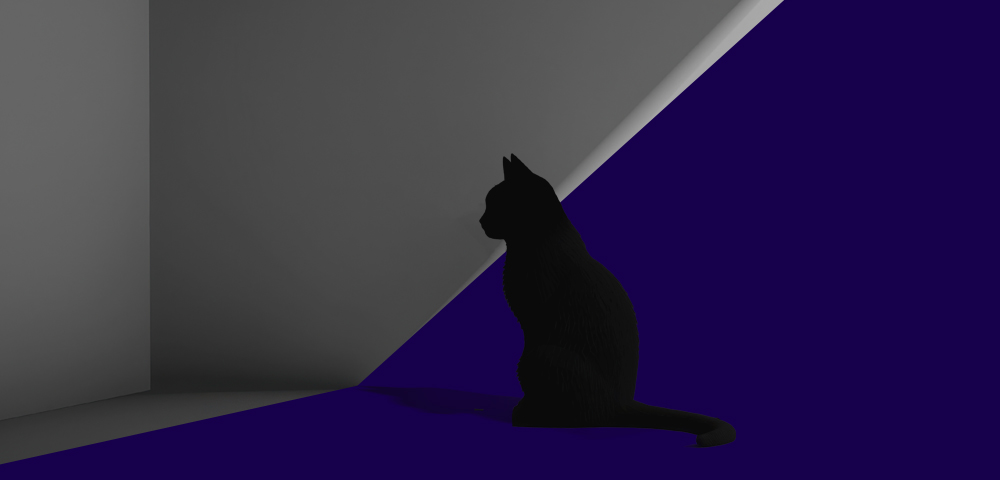  "It's hard to find a black cat in a dark room, especially if it isn't there." - Confucius